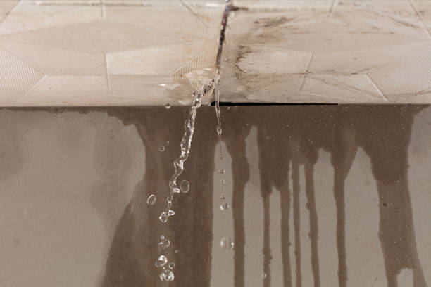 Professional Water Damage Repair technician working in Carbon, TX
